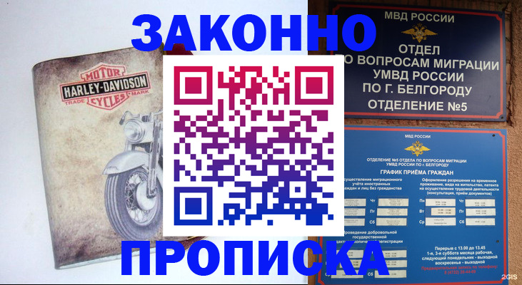 прописка для школы в Бронницах